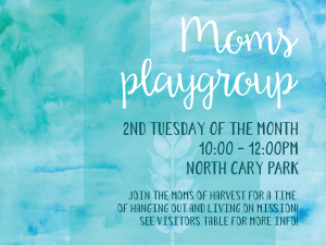 moms-playgroup-slide